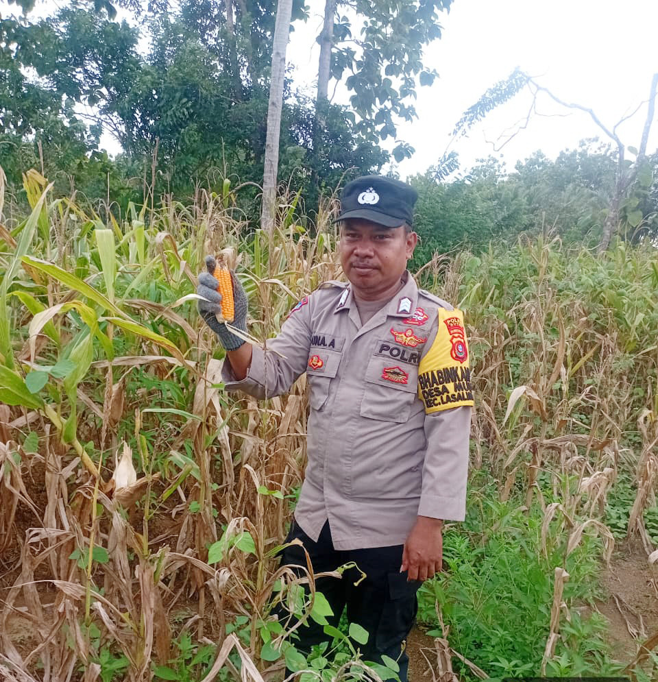 Dukung Ketahanan Pangan, Bhabinkamtibmas Desa Wajah Jaya Pantau Perkembangan Tanaman Jagung Warga Binaan