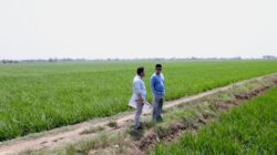 Mentri Nusron Tinjau Kawasan Industri di Indramayu