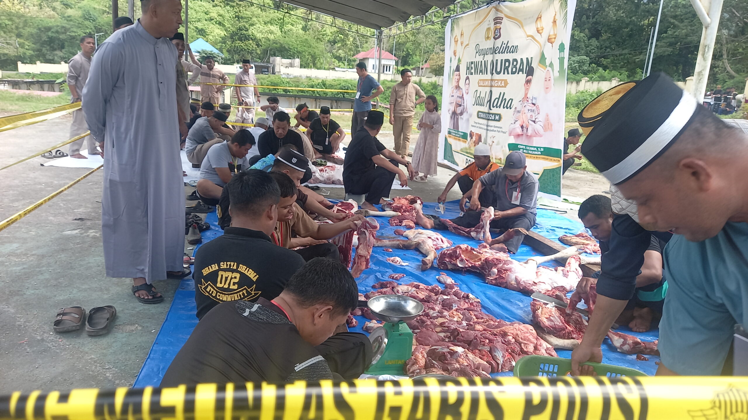 Polres Buton Sembelih 11 Sapi, Daging Disalurkan ke Warga Polres Buton Sembelih 11 Sapi, Daging Disalurkan ke Warga