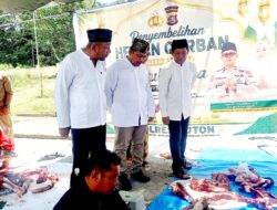 Polres Buton Sembelih 11 Sapi, Daging Disalurkan ke Warga