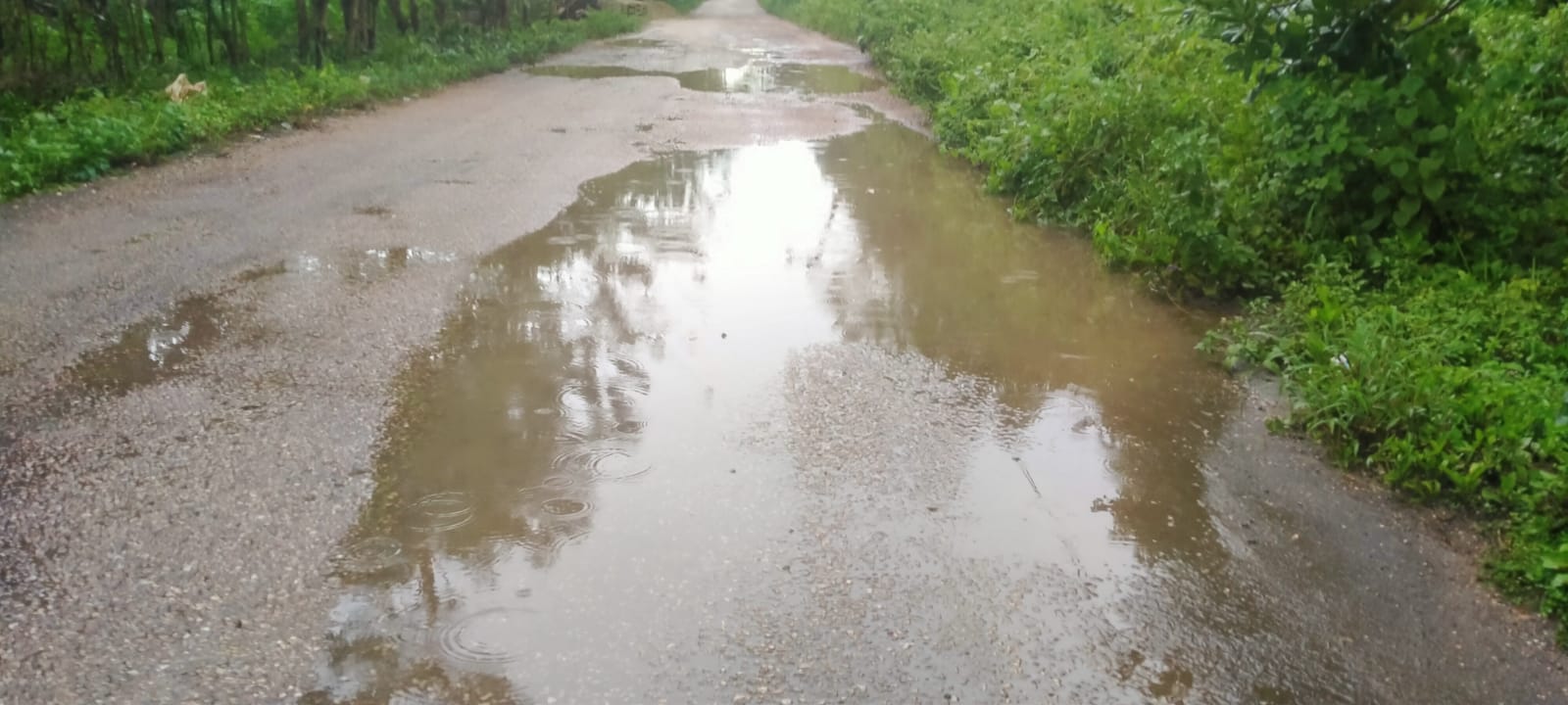 Jalan Poros Pasarwajo–Wabula Rusak, Pemerintah Diminta Tidak Tutup Mata