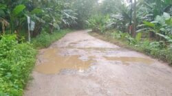 Jalan Poros Pasarwajo–Wabula Rusak, Pemerintah Diminta Tidak Tutup Mata