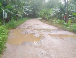 Jalan Poros Pasarwajo–Wabula Rusak, Pemerintah Diminta Tidak Tutup Mata