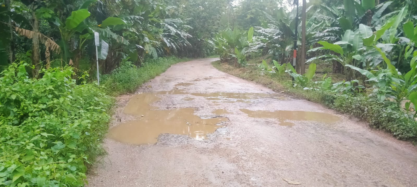 Jalan Poros Pasarwajo–Wabula Rusak, Pemerintah Diminta Tidak Tutup Mata