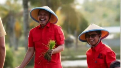 PDI Perjuangan Baubau Tanam Padi Bersama, Siapkan Karing-Karing Jadi Lumbung Pangan