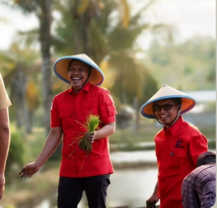 PDI Perjuangan Baubau Tanam Padi Bersama, Siapkan Karing-Karing Jadi Lumbung Pangan