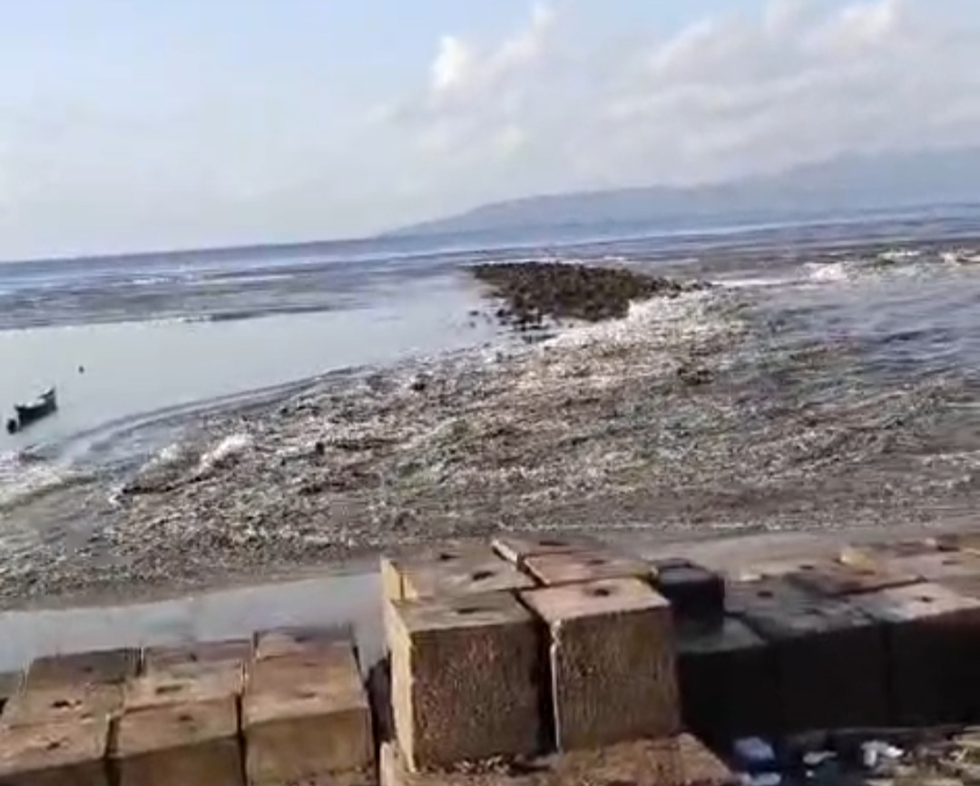 BMKG Pusat Cabut Peringatan Stunami, Buton Aman